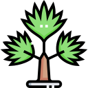 palmera icon