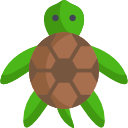 tortuga icon