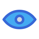 ojo icon