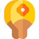 paleta icon