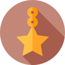 estrella icon