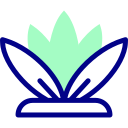 agave icon