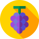 uvas icon