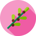 aceituna icon