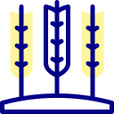 trigo icon