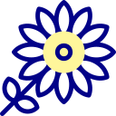 girasol