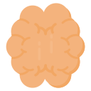 cerebro icon