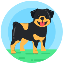 perro icon