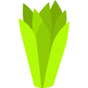 aloe vera icon