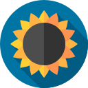 girasol icon