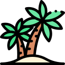 palmera icon