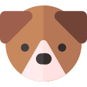 perro icon