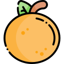 naranja icon