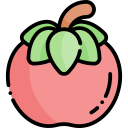 tomate icon