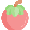 tomate icon