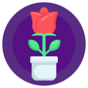 rosa icon