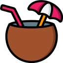 bebida de coco icon