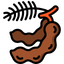 tamarindo icon