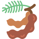 tamarindo icon