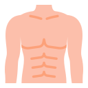 Abs, bady, body, chest, fitness, muscles, part icon - Download on Iconfinder