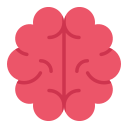 cerebro humano icon