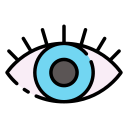 ojo icon