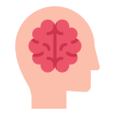 cerebro humano icon