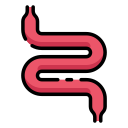 intestino icon