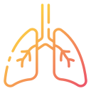 pulmones icon