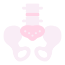 pelvis icon