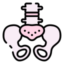 pelvis icon