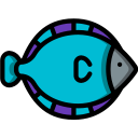 flunder icon