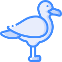 gaviota icon