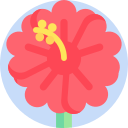 hibisco icon