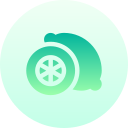 limón icon