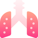 pulmones