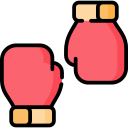 boxeo icon