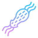 bacterias icon