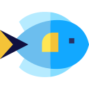 paracanthurus icon