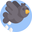 pájaro icon