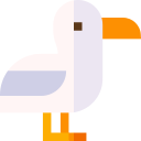 gaviota icon