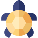 tortuga icon