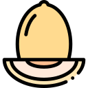 melón icon