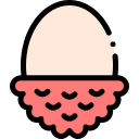 lychee icon