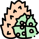 kiwano icon