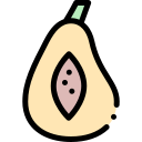 papaya icon