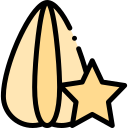 carambola icon