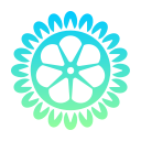 mandala icon