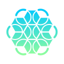 mandala icon