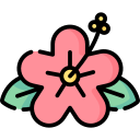 hibisco icon